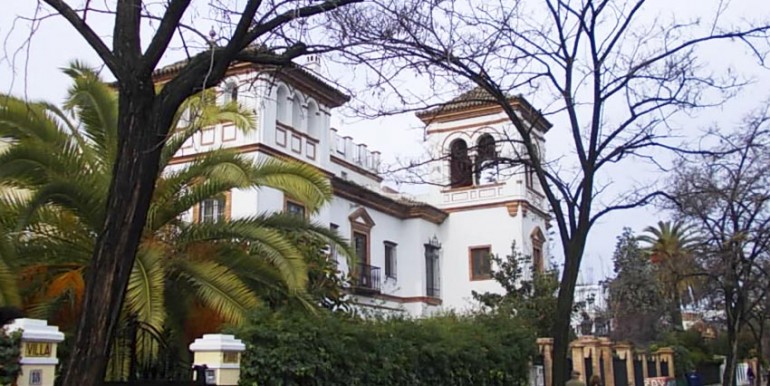 PALMERA0