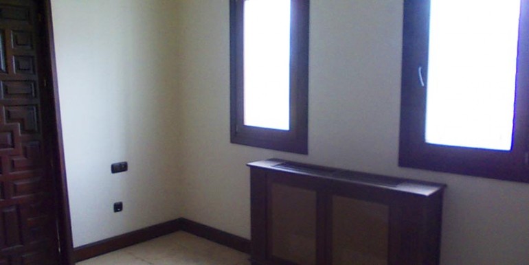 PALMERA12