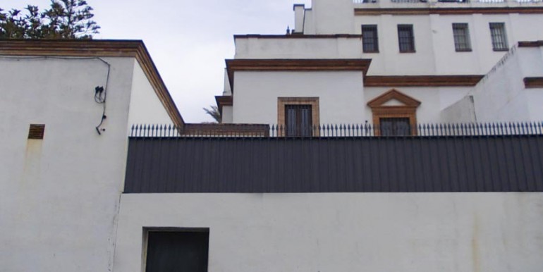 PALMERA13