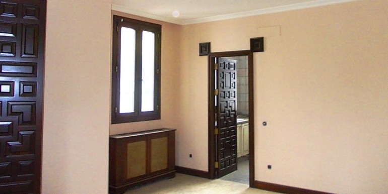 PALMERA6