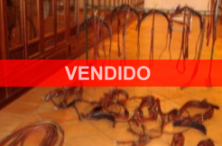 VENDIDO1
