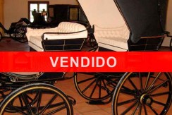faeton-siames-philipon-vendido