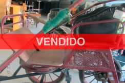 vendido