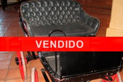 vendido-faeton-poni