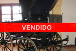 vendido-faeton-siames-rotchill
