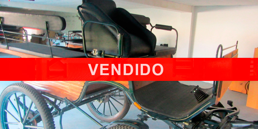 FAETÓN VAGONETA