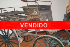 vendido-spider-faeton-suisse