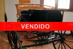 vendido-vis-a-vis-para-poni
