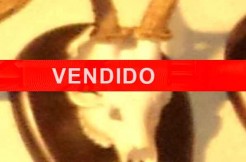 CMA63-VENDIDO