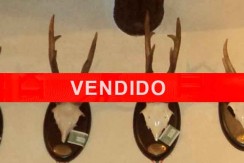 conjunto-trofeos-vendido