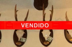 conjunto-trofeos-vendido