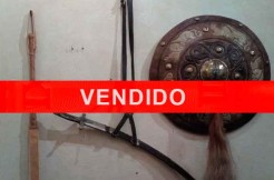 escudo,-espada-con-funda,-fusta-vendido