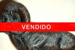 figuro-muflon-bronce-vendido