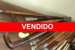 lote-bastones-vendido