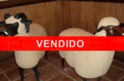 pareja-carnero-oveja-vendido