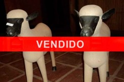 pareja-ovejas-vendido