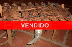 vendido-xilofono