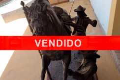 vendido-jinetes-cartujanos-a-caballo