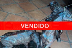 vendido-picador