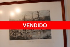 vendido-elemenos-decorativos-casa1