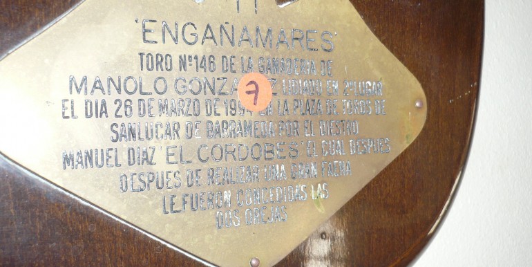 FOTO 4 (7)