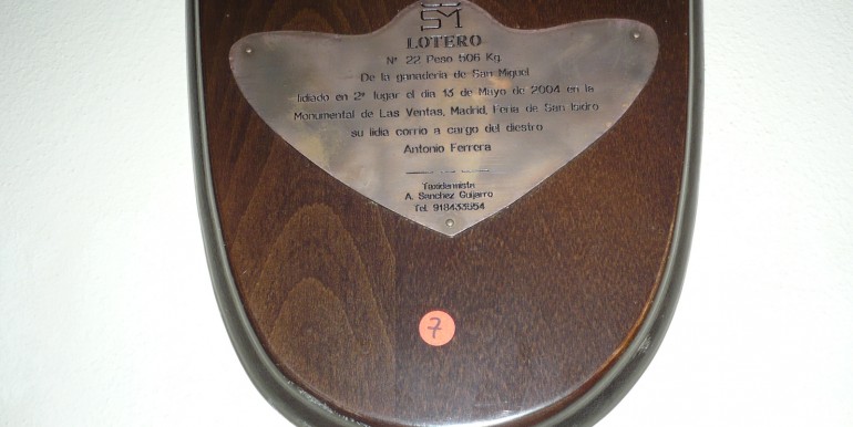 foto 2 (13)