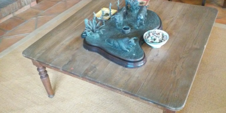 foto 3 (11)