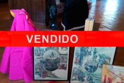 toro-estudioso-vendido