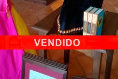 vendido-toro-leoncito