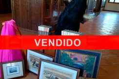 vendido-toro-lotero