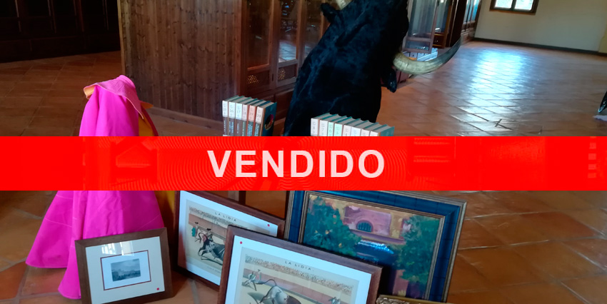 TORO LOTERO