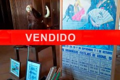 vendido-toro-rutina