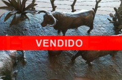 vendido-tres-toros-pastando-en-el-campo