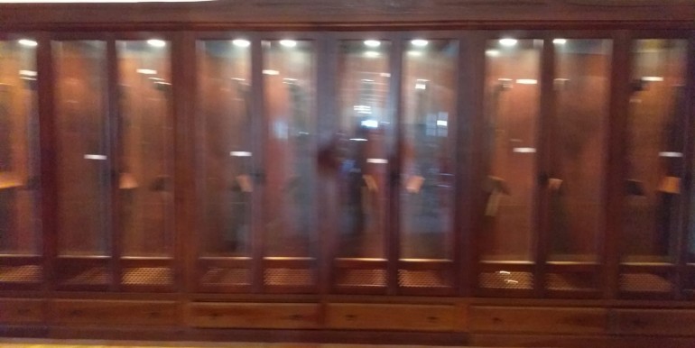 foto 2 (9)